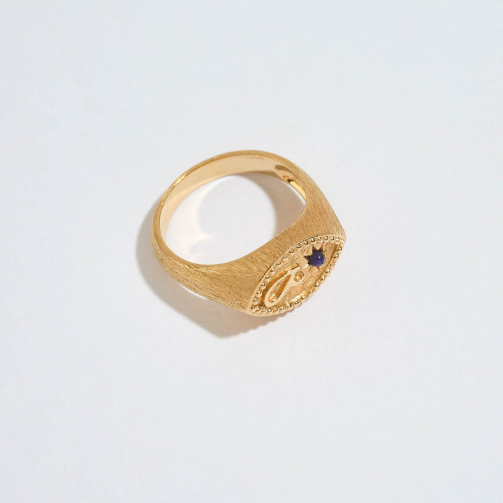 Fuck Gold Shorthand Signet Ring