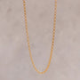 14k gold vermeil rolo belcher chunky chain necklace