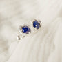 Lapis Lazuli Silver Lichen Stud Earrings