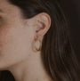 Model wears large 30mm gold vermeil brushed hoop earrings
