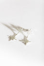 Brushed Silver Double North Star Earrings