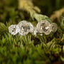  White Topaz Silver Double Lichen Stud Earrings