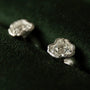 White Topaz Silver Lichen Statement Stud Earrings close up